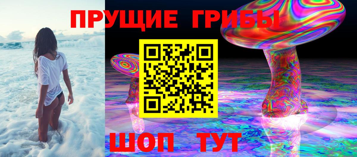 Бузулук  Псилоцибиновые грибы MAGIC MUSHROOMS  Вход с VPN  Псилоцибиновые грибы прущие грибы 