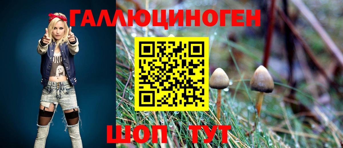 Галлюциногенные грибы мухоморы Бузулук